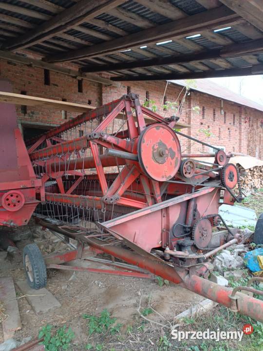 Bizon z 056 1977r podkarpackie