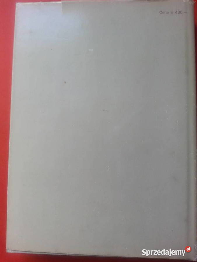 2927 Techniki Malarskie Spoiwa Mineralne Szczecin sprzedam