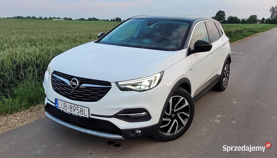 Opel Grandland X Ultimate wymianie rozrządu Ignaców