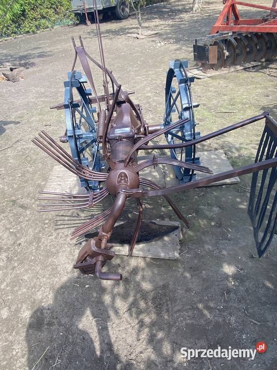 Koparka konna nieuszkodzony