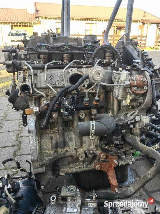 Silnik 16 tdci hdi dv6 Mieszkowice