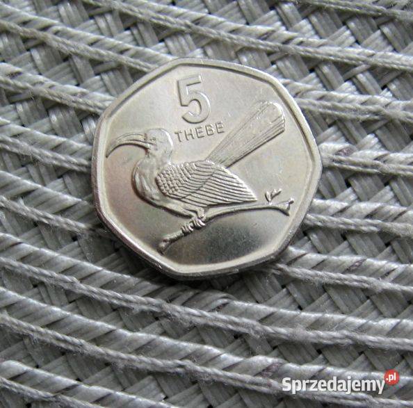 Botswana 5 Tebe 2013r Kalisz