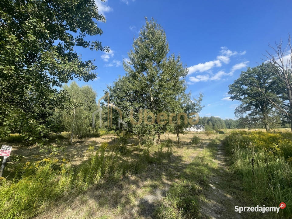 Działka na sprzedaż pod Goleniowem Żółwia Błoć