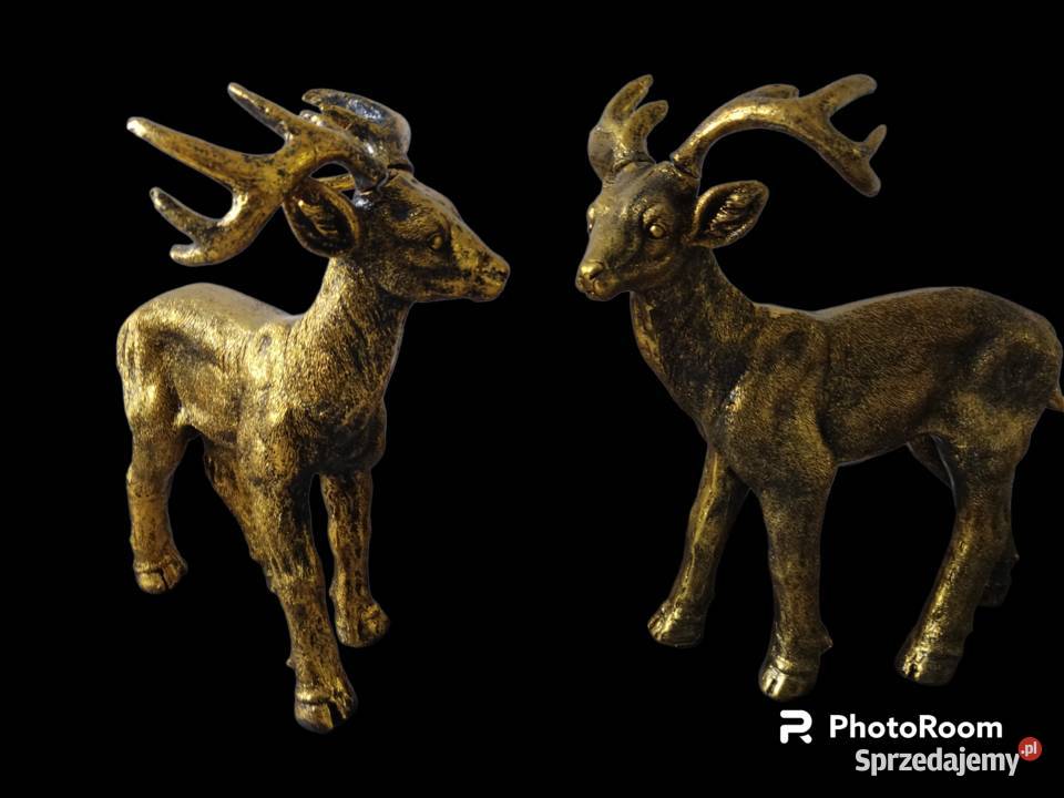 Koziołki do ogrodu podkarpackie Ropczyce sprzedam