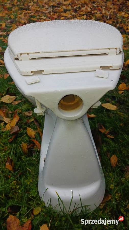 Muszla klozetowaspluczka i deska