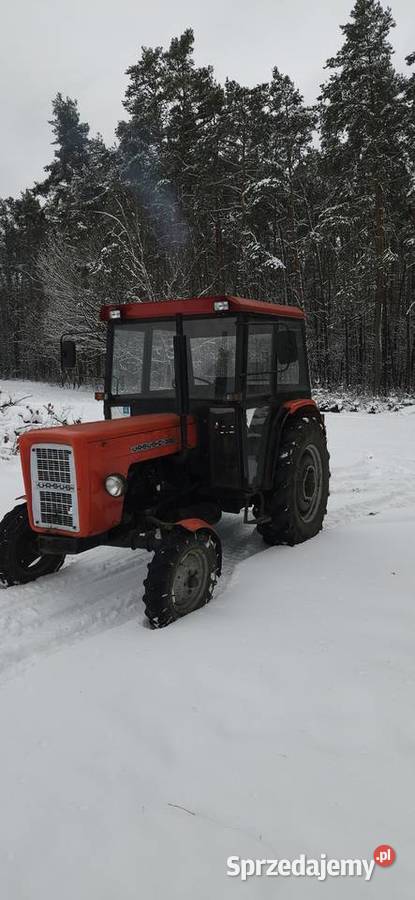 Ursus c360355 Potępa