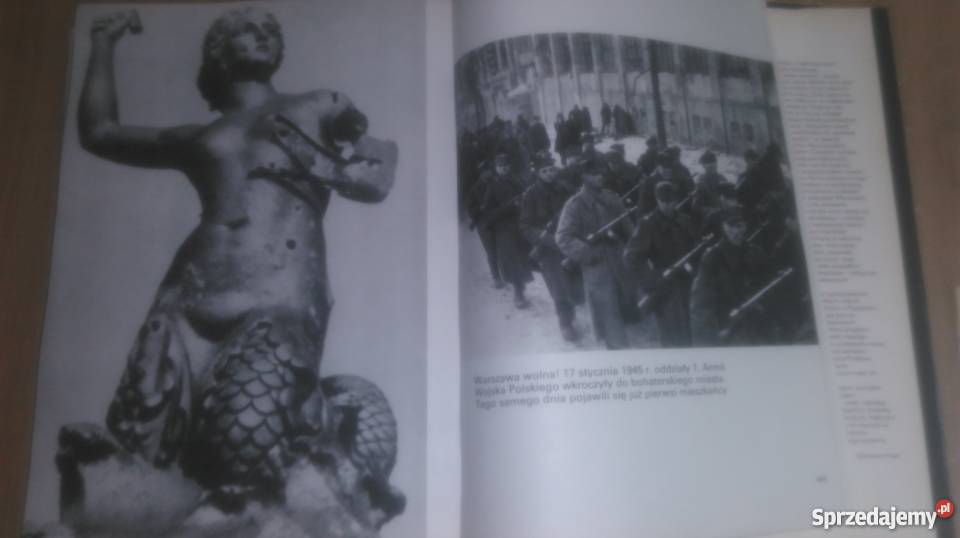 Lata Okupacji sprzedam