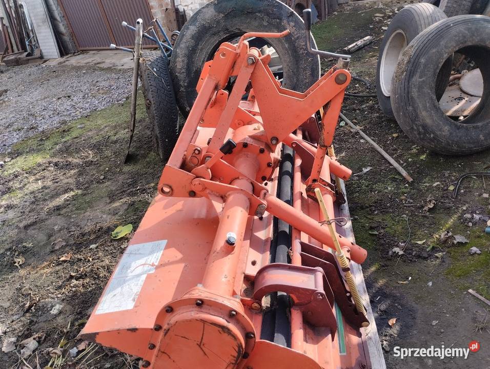 Glebogryzarka japońska Osmolice Drugie