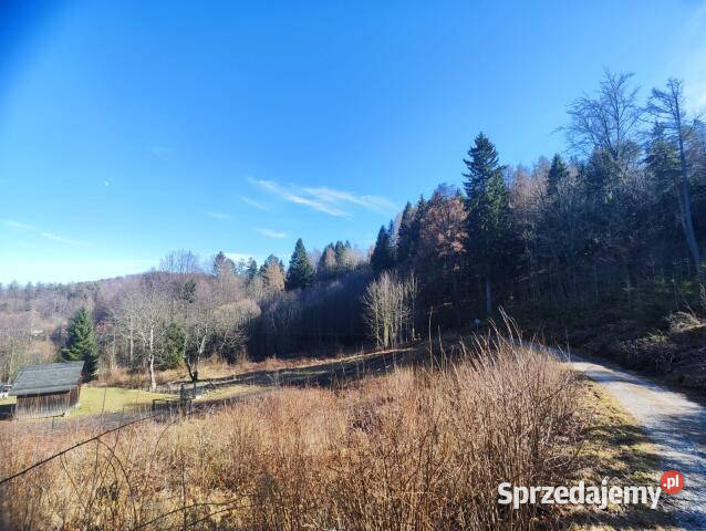 sprzedaży gruntu 1608m2 Sosnówka dolnośląskie