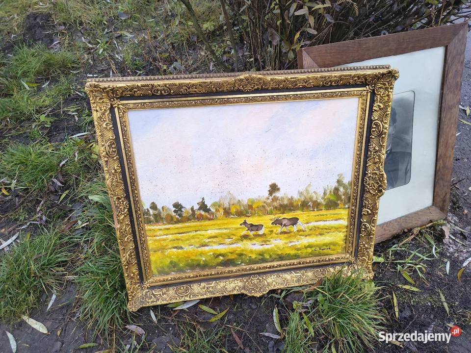 Antyki starocie Chorzew