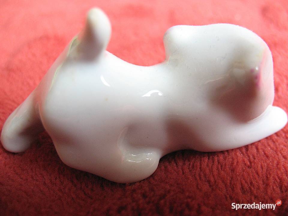 Kot biały młody kotek porcelana 4 x 6 x 25 Siedlce sprzedam