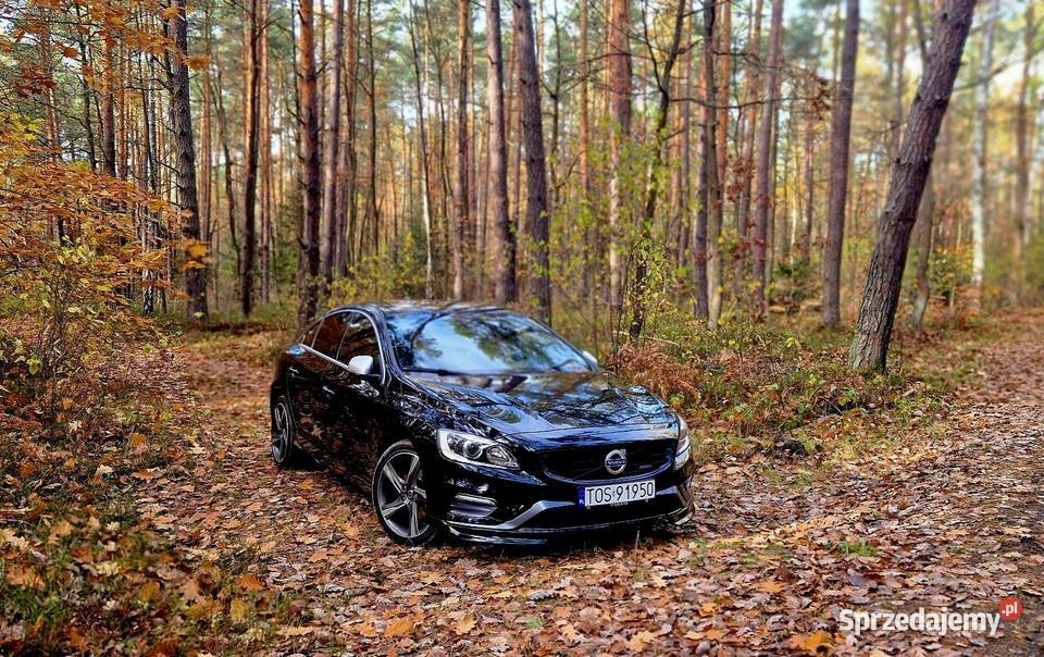 Volvo S60 Rdesing 20d 190 2014r świętokrzyskie Ostrowiec Świętokrzyski