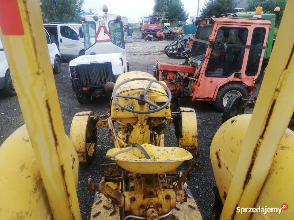 Zabytkowy Masy Ferguson Massey Ferguson pomorskie