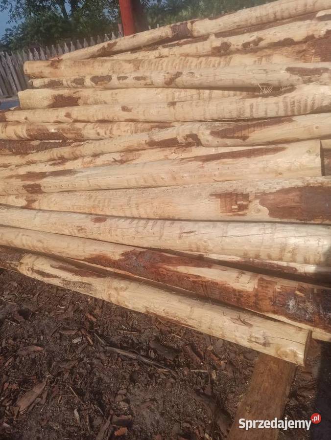 Słupki kołki korowane jodła Kolbuszowa sprzedam