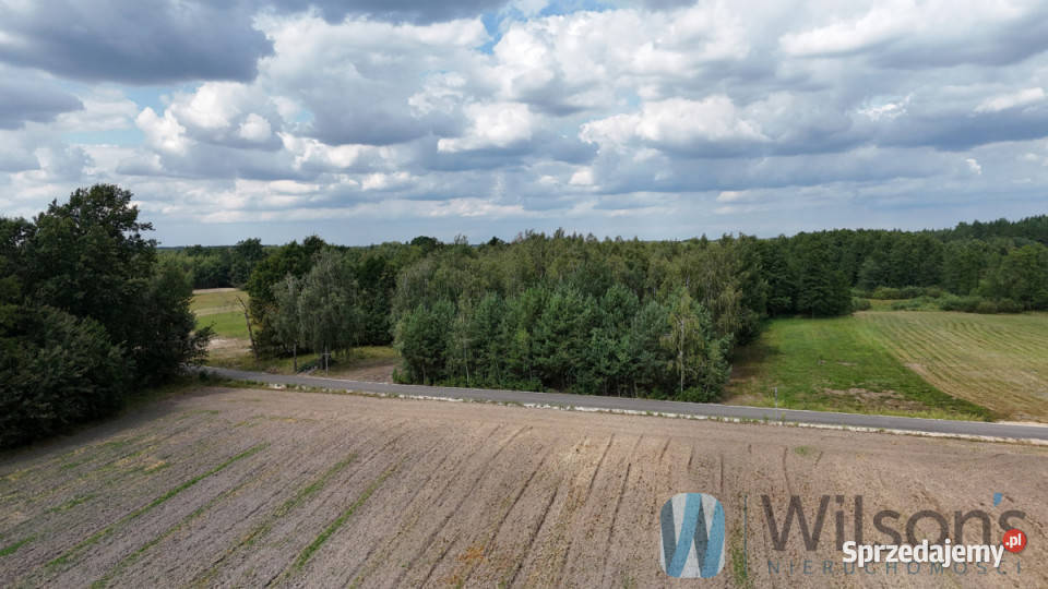 Działka 7100 metrów Sokołowo Włościańskie 20zł/m2