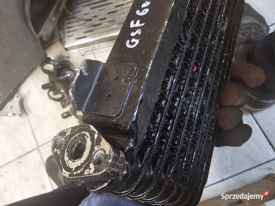 Suzuki gsf 600 chłodnica oleju chłodniczka dolnośląskie Jelenia Góra