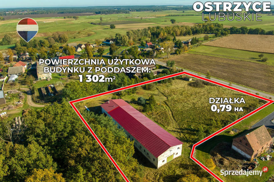 Nieruchomość inwestycyjna 99100 m Ostrzyce