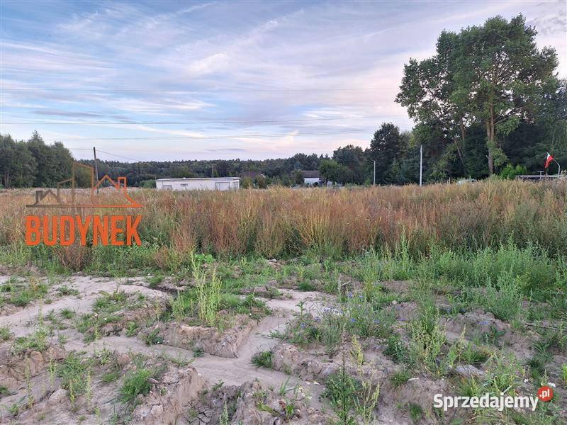 Działka budowlana Ronino 99zł/m2 Sprzedaż