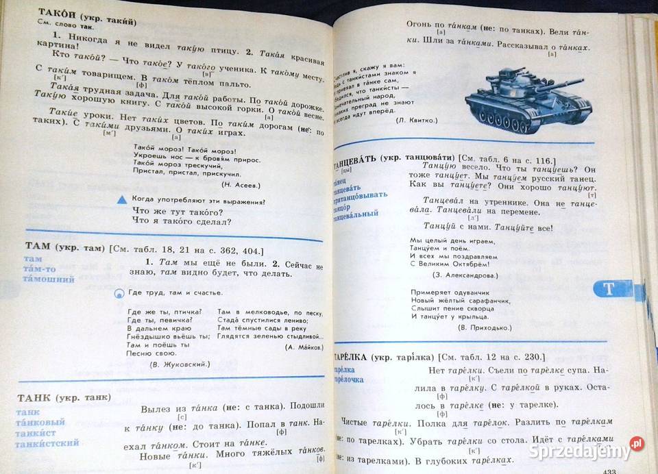 Russkij Jazyk w kartinkach Slowar Język rosyjski Chełm