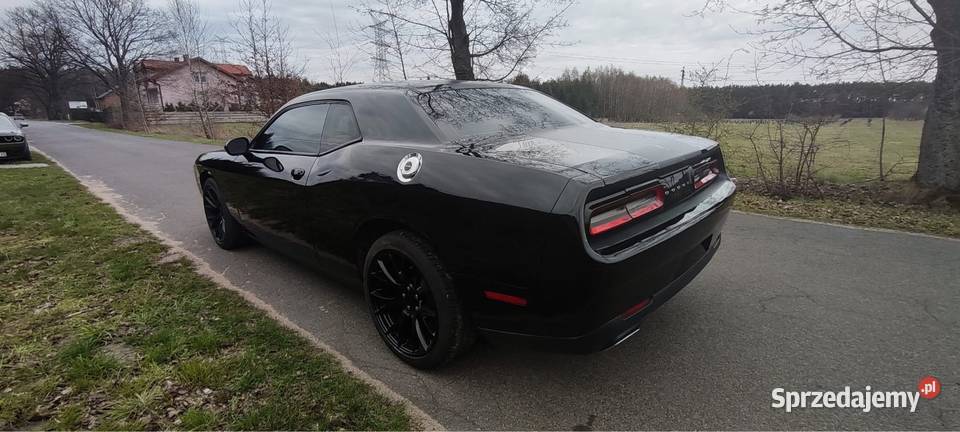Dodge Challenger V6 2015 fv23 fv0 EU w Bełchatów