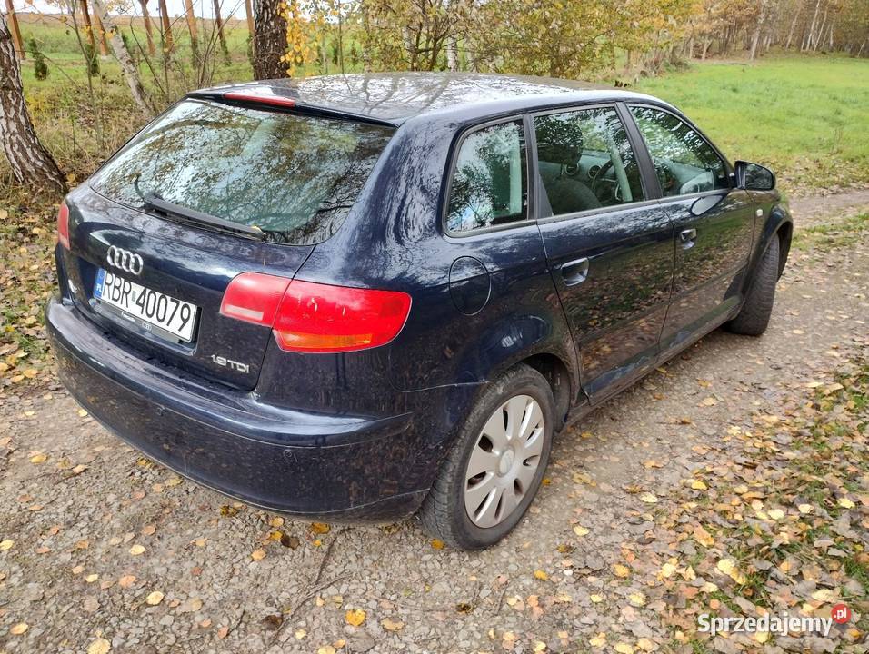 A3 8P 19tdi 105 aluminiowe felgi Jasło