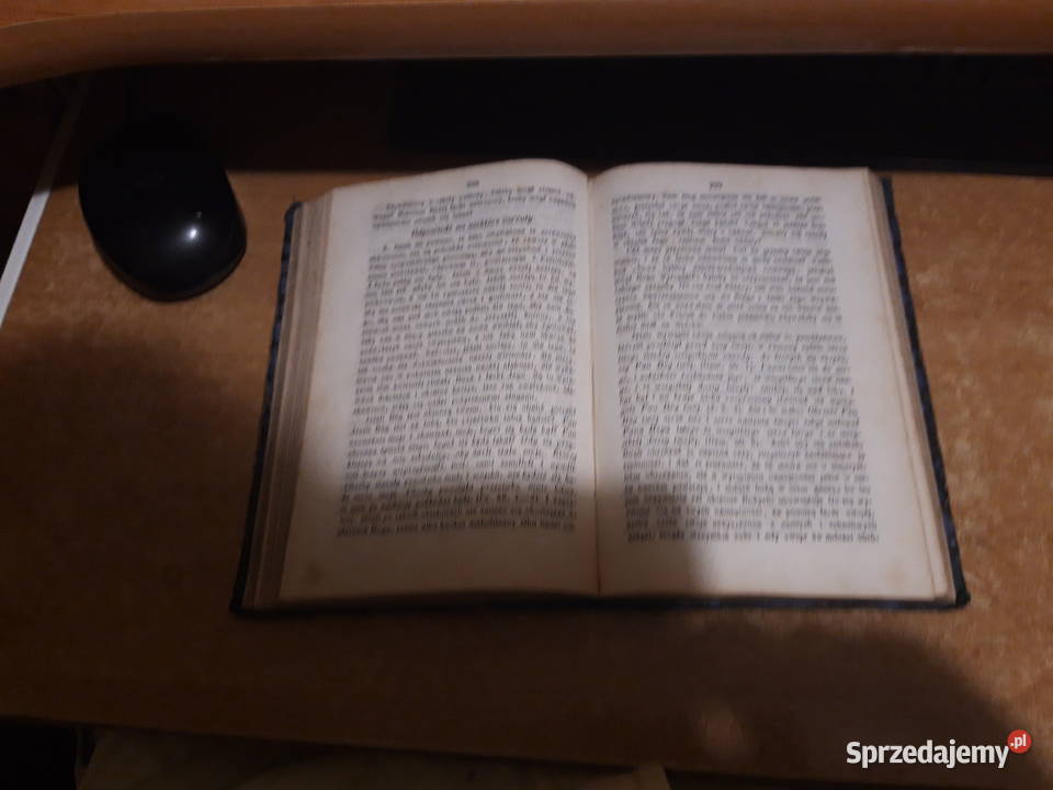 PRZEWODNIK GRZESZNIKÓW ŚwLudwika z Grenady wielkopolskie Iwno