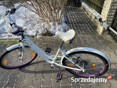 Rower dziewczęcy Giant Liv flourish Janki