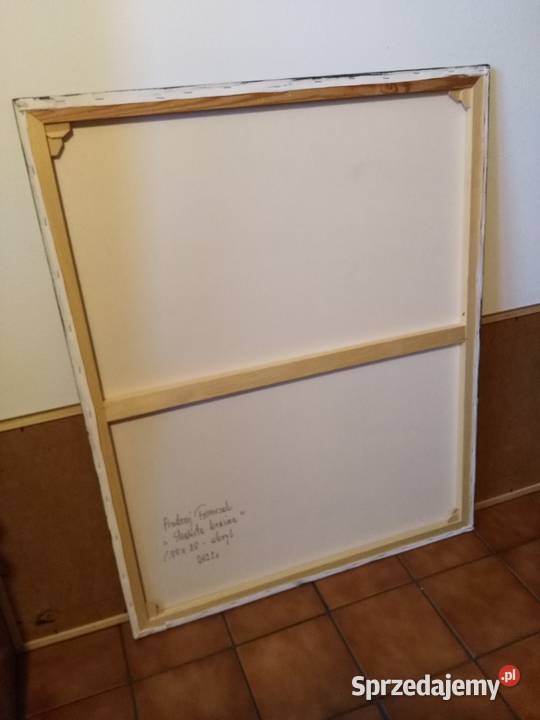 Andrzej Fronczak Skalista kraina akryl 80x100 Malarstwo Włocławek