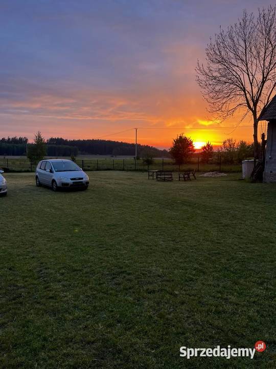 sprzedam dom siedlisko drewno Nieruchomości