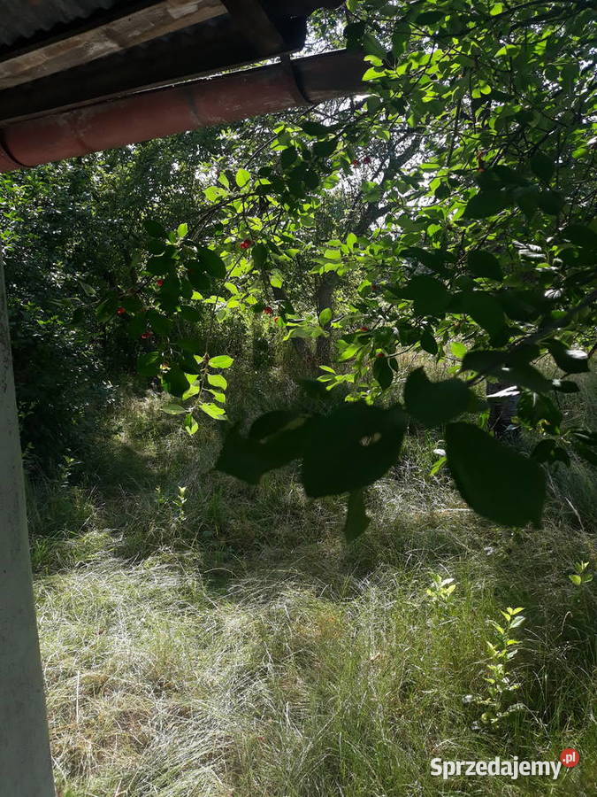 Działka ROD Wodnik Obornicka Różanka Wrocław