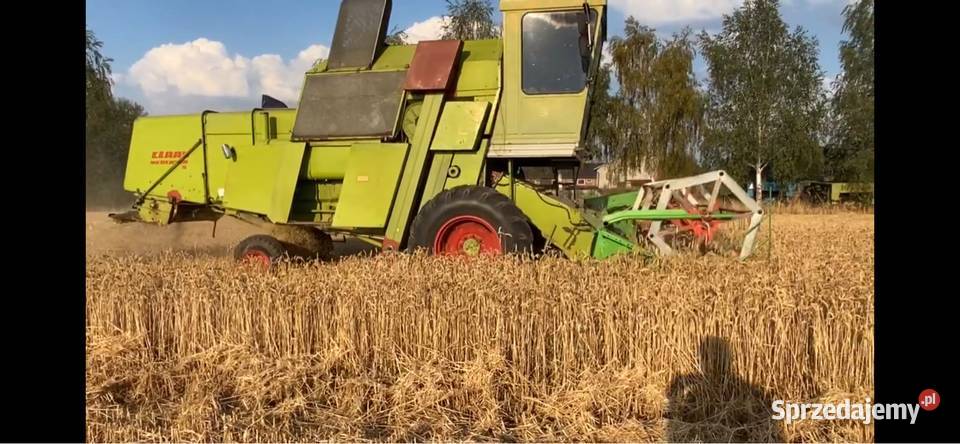 Claas Mercator S łódzkie Wola Krzysztoporska