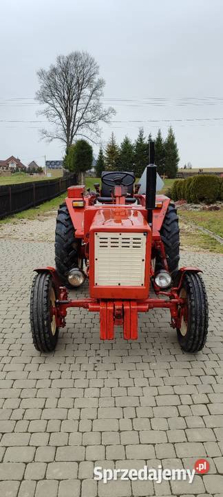 Władimirec T25 Rusek Władimirec