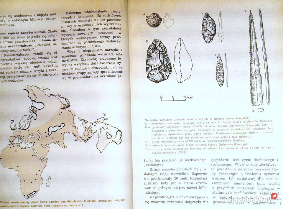 Historia 1 Starożytność J Tazbirowa E Wipszycka Chełm