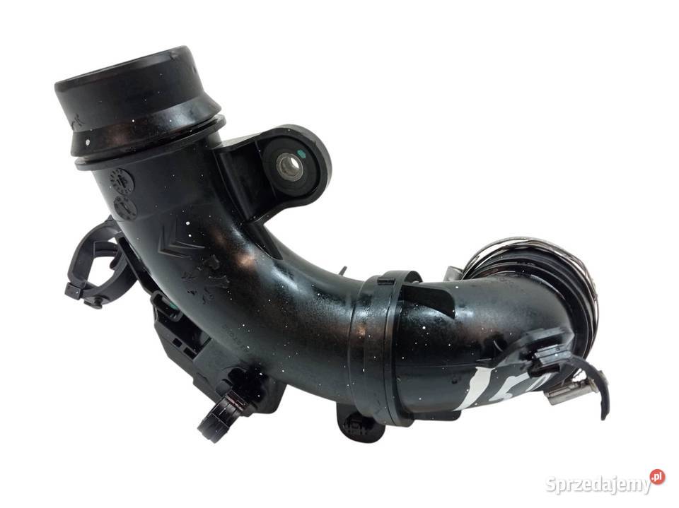 DOLOT POWIETRZA 9677355980 12 PURE TECH VTI