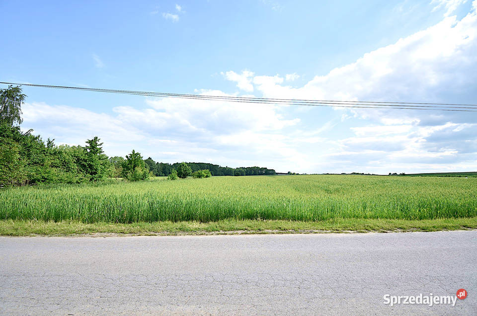 Sprzedam działkę budowlaną w okolicy Czarnolasu Czarnolas sprzedam