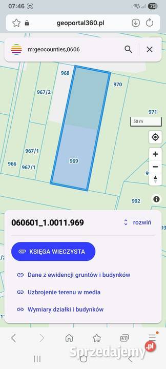 Pole orne z lasem Krasnystaw sprzedam