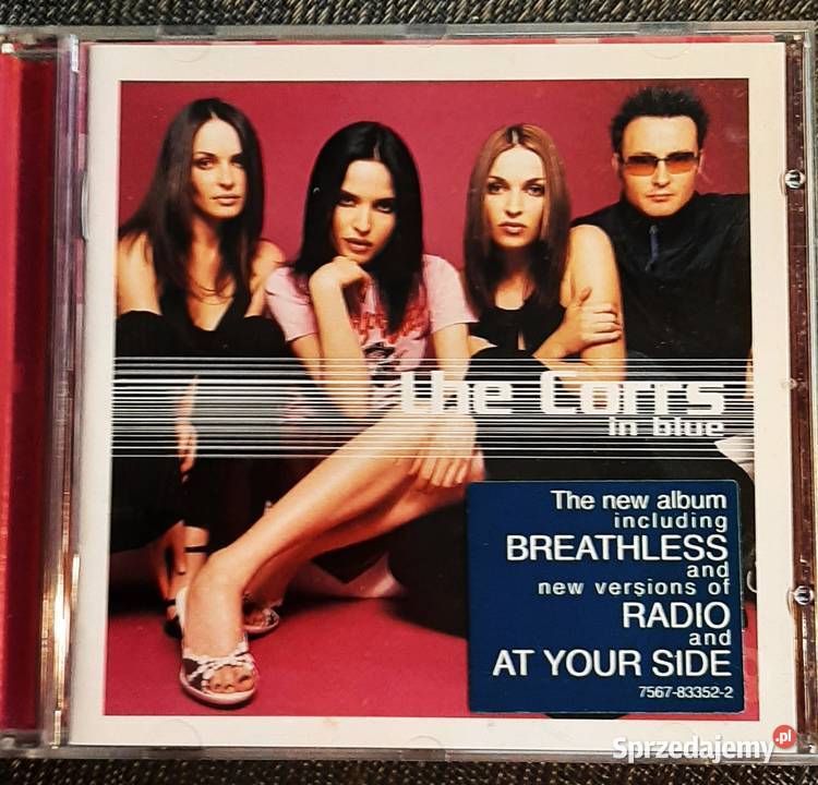 Kultowy Album CD EURYTMICS Album Revenge śląskie