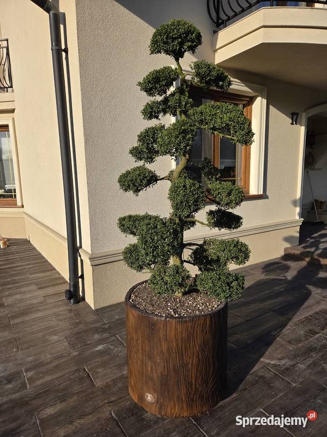 Donica betonowa okrągła duża 65 x 60 na krzew podkarpackie Ulanów sprzedam