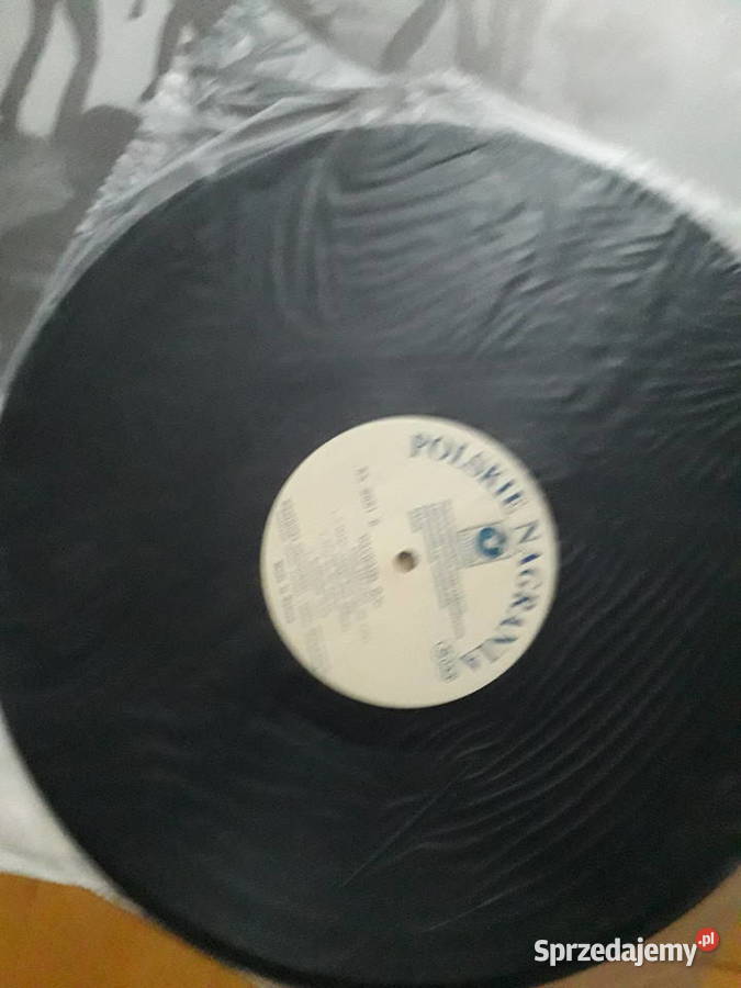 Obywatel GC 2 Tak Tak to ja Stan strachu zachodniopomorskie Szczecin