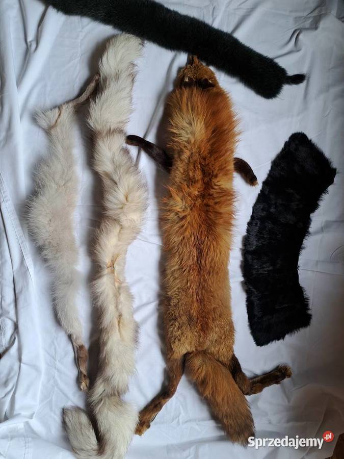 Futra lis i inne piękne futra 5 sztuk Dla kobiet sprzedam