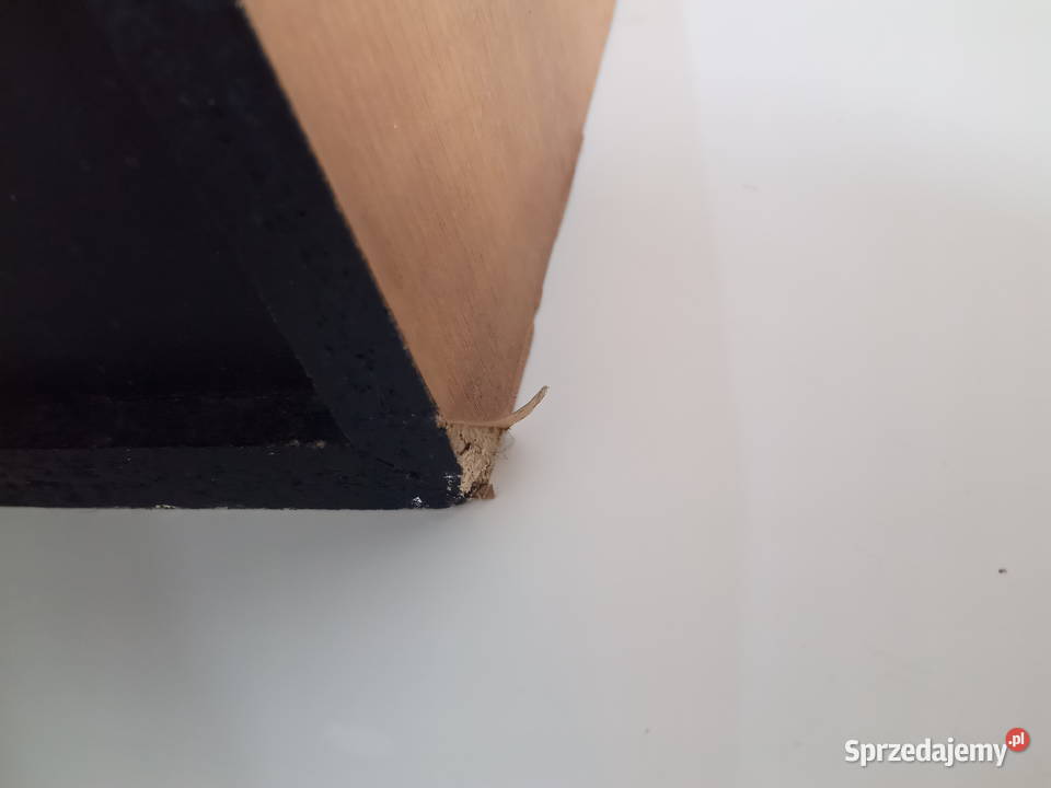 PHILIPS FB MZ7 gra niskotonowy Poznań