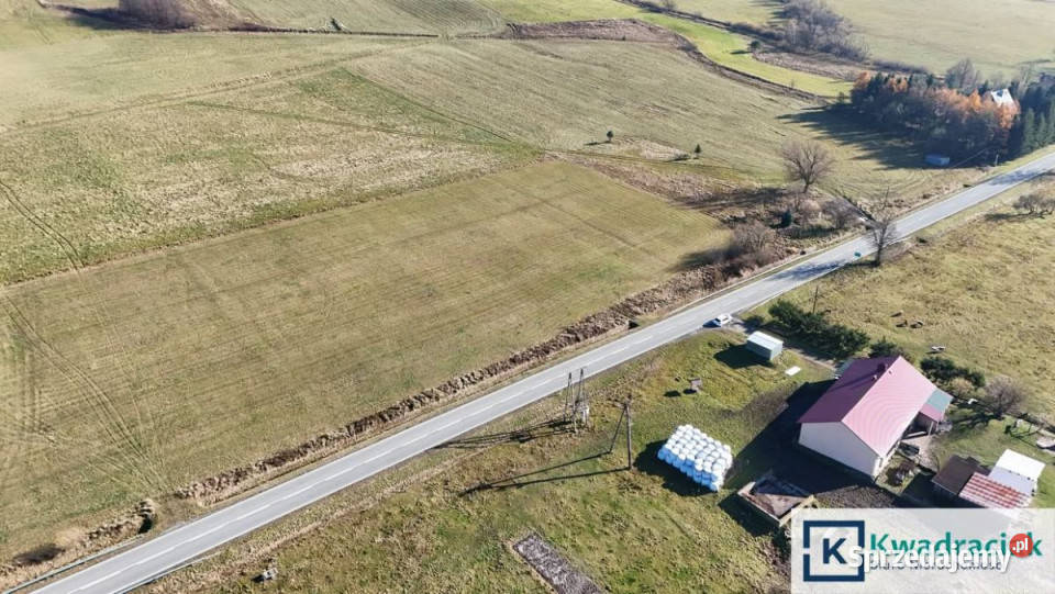 Grunt Zdynia 2762m2 prąd Sprzedaż małopolskie sprzedam