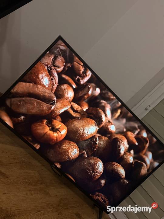 Telewizor LG 49 4K Smart TV LED Lublin