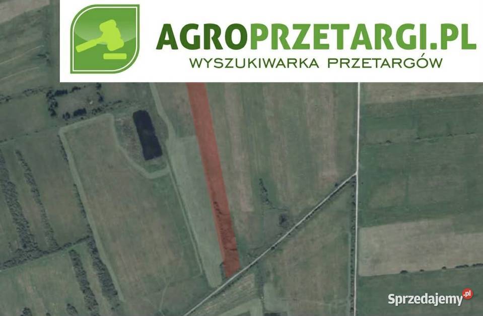 Dzierżawa 501 ha gruntu rolnego 50100m2 wielkopolskie sprzedam