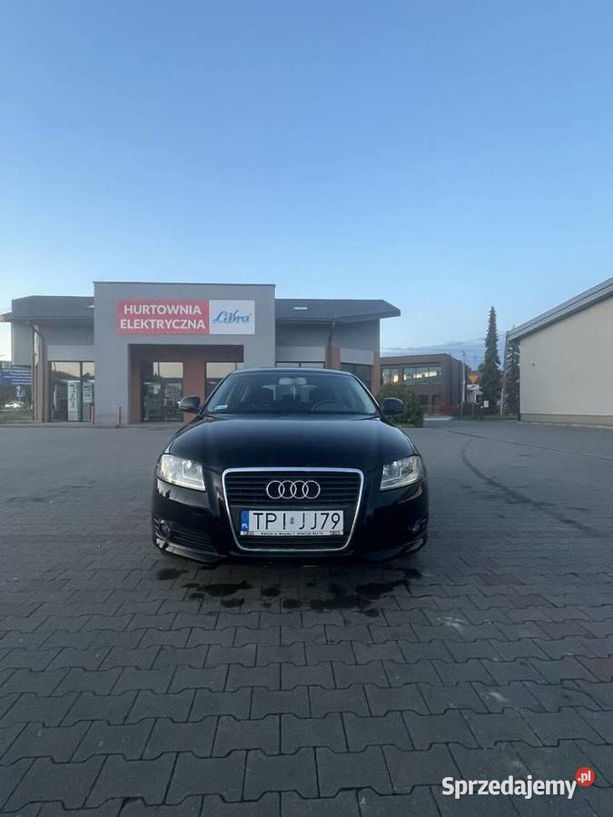 Audi a3 8p 19TDI Hatchback