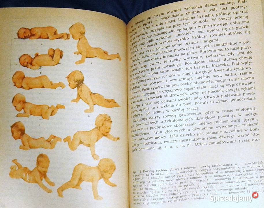 Nasze dziecko Jadwiga KopczyńskaSikorska lubelskie Chełm sprzedam