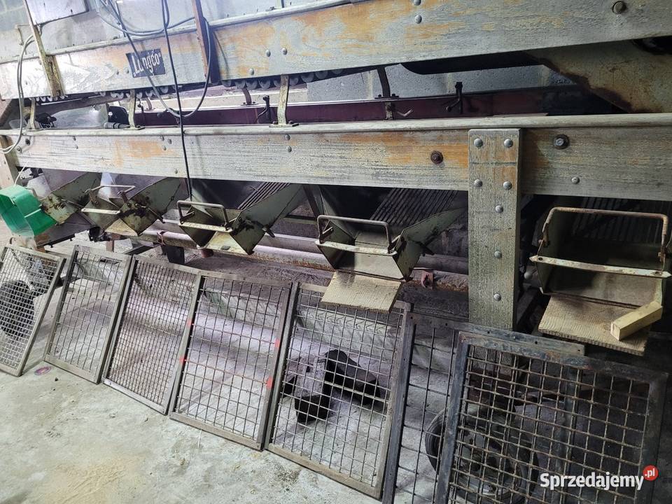 Sortownik do ziemniaków cebuli buraczków itp Sieradz