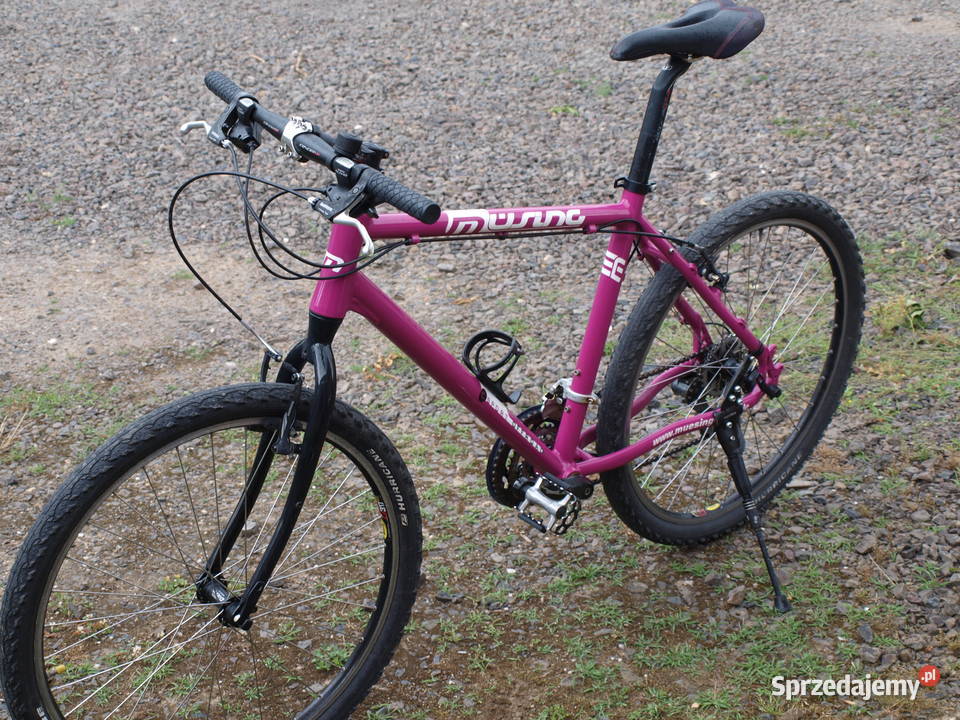 Rower MTB Musing Off Road Chojnów