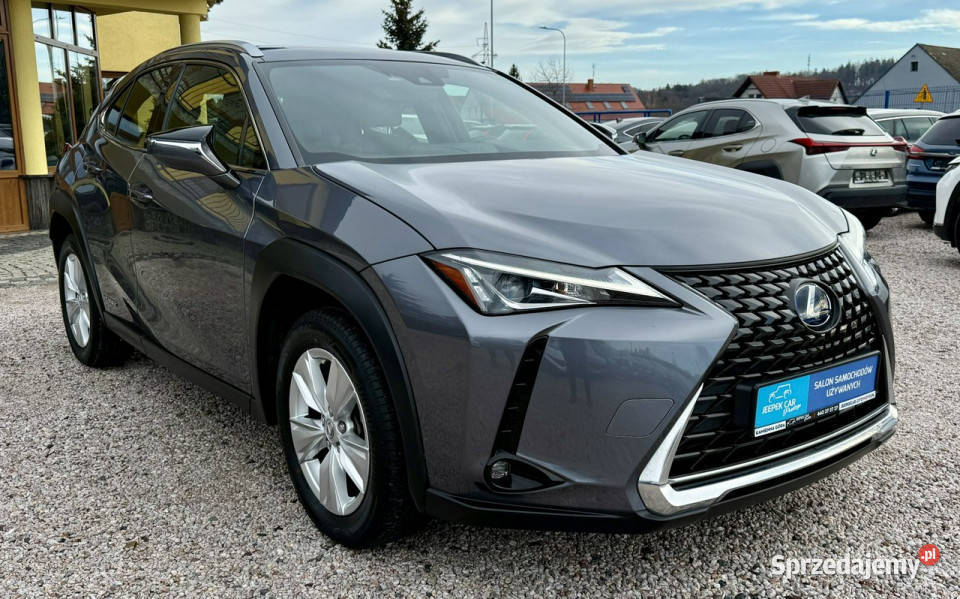Lexus UX 250hHybrydaIdealnyGwarancja Kamienna Góra