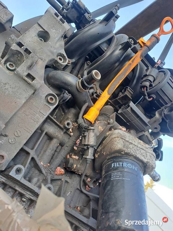 Audi A3 8L 16 8V 102 silnik kompletny kod AVU Jastrzębie-Zdrój